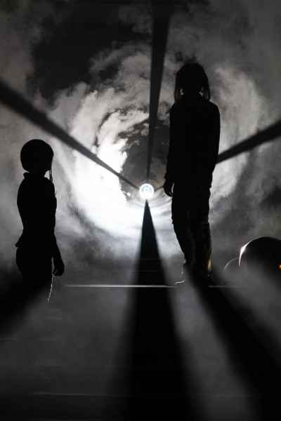 Posthuman Journey (UA)