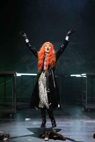 The Black Rider - The Casting of the Magic Bullets