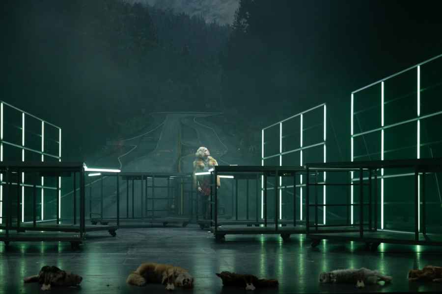 The Black Rider - The Casting of the Magic Bullets